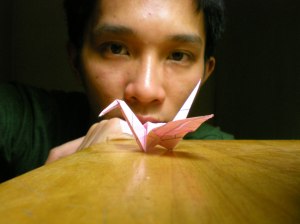 pink paper crane and me